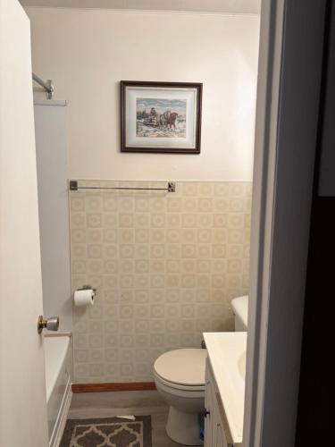 a bathroom with a toilet and a sink at Cozy Home in Flin Flon
