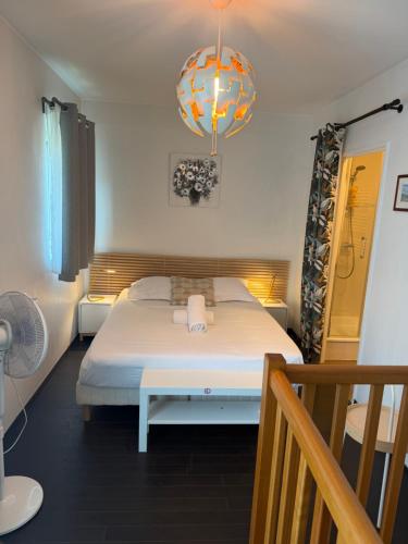 Lyon Confluence - duplex au calme avec parking privé en option