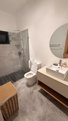 a bathroom with a toilet and a sink and a mirror at La Casa Floréal in Curepipe