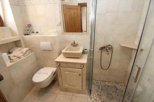 a bathroom with a shower and a toilet and a sink at Studio Apartment Ana in Vrsar