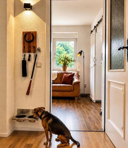 a dog standing in a hallway with a door open at Ferienwohnung Penny-Ranch in Zethau