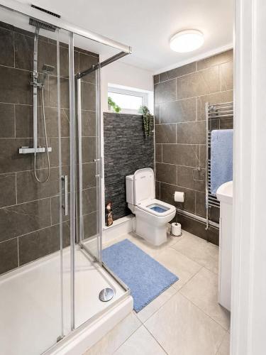 a bathroom with a glass shower and a toilet at Neptune Nights in Pontnewynydd