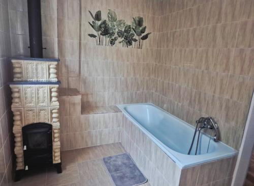 a bathroom with a blue bath tub in a room at Riverside Forest Prestige in Chlʼaba