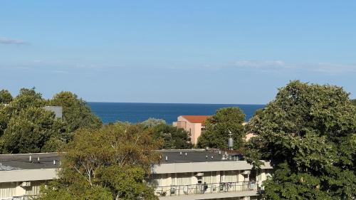 a building with trees and the ocean in the background at Studio Precious in Kranevo
