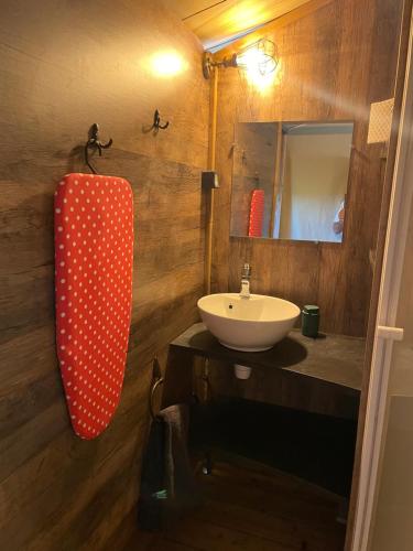 a bathroom with a sink and a mirror at Camping Les Chagnelles in Le Perrier