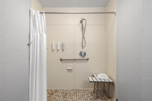 ein Badezimmer mit Dusche und Duschvorhang in der Unterkunft Hampton Inn Cotulla in Cotulla
