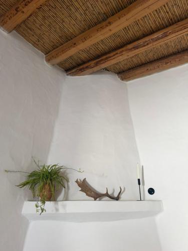 a white shelf with a plant on a white wall at Kamara since 1900 in Archangelos