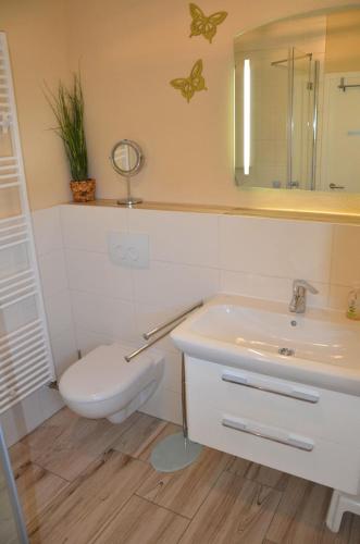 a bathroom with a sink and a toilet and a mirror at Bella Casa 36 - Mones in Juliusruh