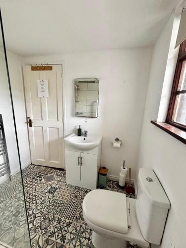 a bathroom with a toilet and a sink at Strandhill Guesthouse in Sligo