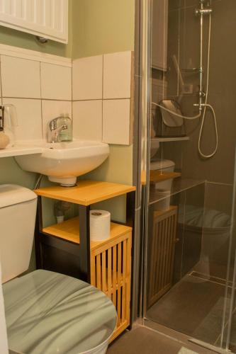 a small bathroom with a sink and a shower at Hoeve Hofgaarde in Heers
