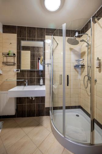 a bathroom with a shower and a sink at Apartamenty Pod Lwem in Świdnica