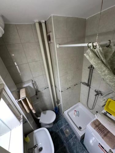 a small bathroom with a toilet and a sink at Comfy Flat in New Belgrade in Belgrade