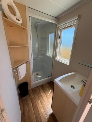a bathroom with a shower and a white sink at La Finquilla Holidays in Estepona