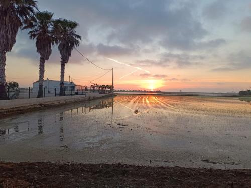 a flooded street with palm trees and a sunset at Mas Panoli in Deltebre