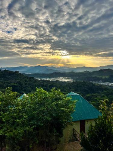 a house with a green roof in the middle of a valley at Bwindi Neckview Lodge in Buhoma