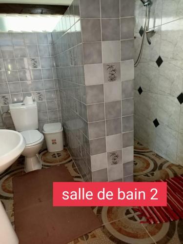 a bathroom with a white toilet and a sink at Terai vahine lodge in Rangiroa
