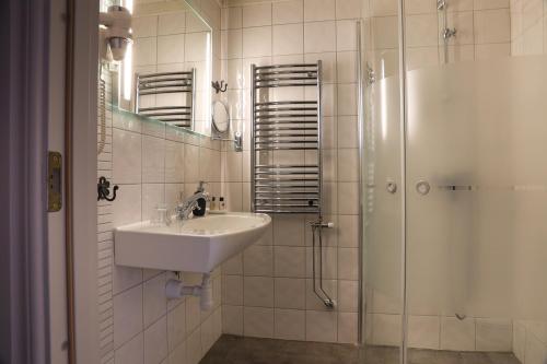 a white bathroom with a sink and a shower at Ulkeröds Gård in Hedekas