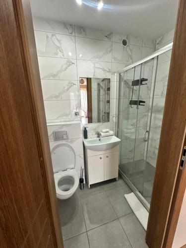 a bathroom with a shower and a toilet and a sink at Kłabuk in Białka Tatrzańska