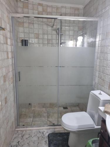 a bathroom with a shower with a toilet at Μαγευτική βίλα Κωνσταντίνα in Nerántza
