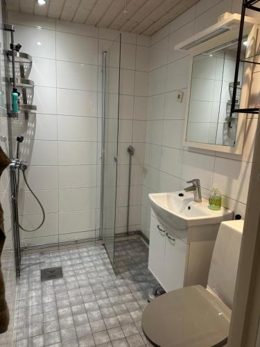 a bathroom with a shower and a sink and a toilet at Wooden House 2 bedrooms in Turku