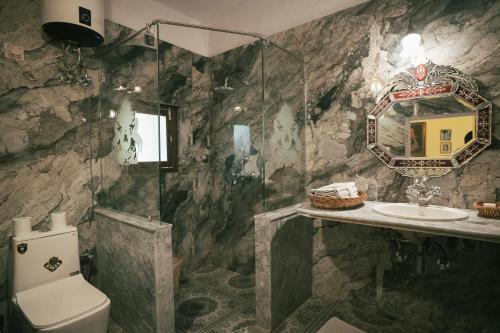 a bathroom with a shower and a toilet and a sink at Hotel Bissau Palace in Jaipur