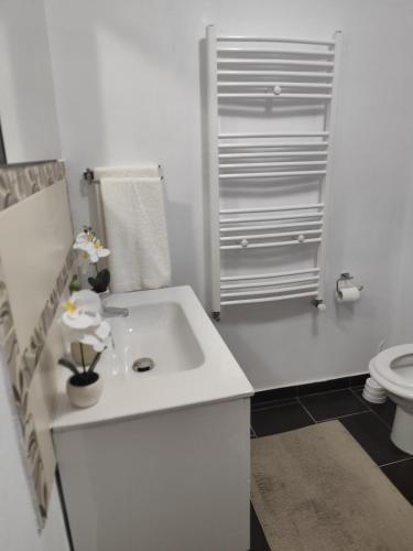 a white bathroom with a sink and a toilet at La Daniela in Făgăraş