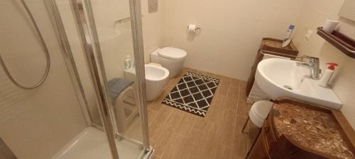 a bathroom with a shower and a sink and a toilet at Suite IN PIAZZA in Poggio Renatico
