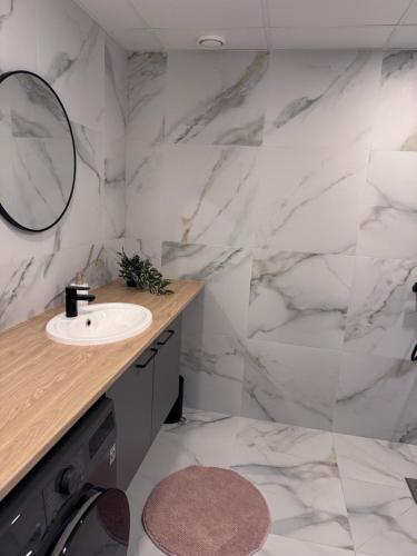 a bathroom with a sink and a mirror at Kukerpuu Kinnisvara in Raadi