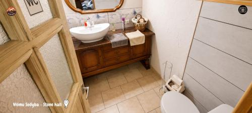 a small bathroom with a sink and a toilet at Vilimu Sodyba - Stone Hall in Kriukai