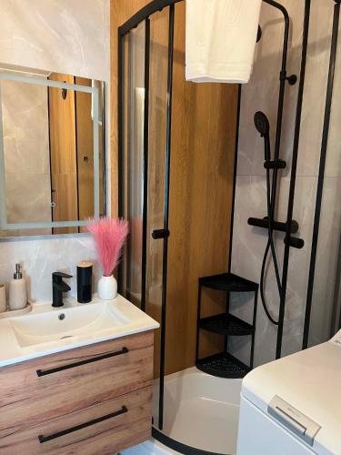 a bathroom with a shower and a sink at Modern Apartament Zakole in Konin