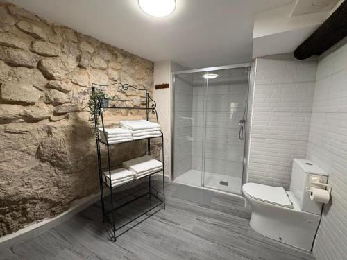 a bathroom with a toilet and a walk in shower at Casa Cueva Toni in Alcalá del Júcar
