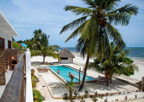 eine Luftaufnahme eines Swimmingpools am Strand in der Unterkunft Moonshine Uroa Boutique Hotel in Uroa