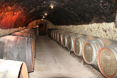 una fila di botti di legno in un tunnel di Chambres d'hôtes - Domaine Gigou a La Chartre-sur-le-Loir