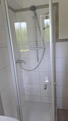 a shower with a glass door in a bathroom at Ferienwohnung Müller in Zirkow