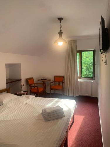 a bedroom with a bed and a table and chairs at Pensiunea Valea Pinului in Rau Sadului