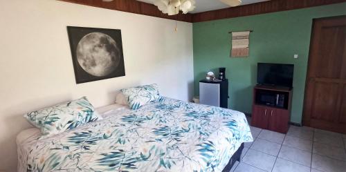 a bedroom with a bed and a flat screen tv at SJO Green Casita in Santiago Este