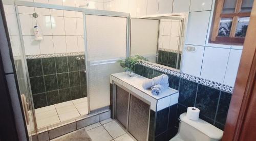 a bathroom with a toilet and a sink and a shower at SJO Green Casita in Santiago Este