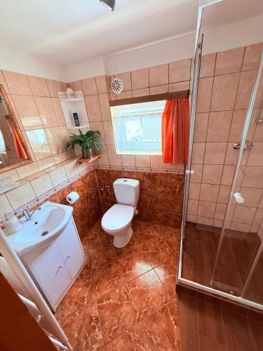 a bathroom with a toilet and a sink and a shower at u Vlastika in Jeseník