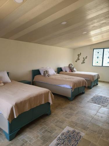 ein Schlafzimmer mit drei Betten in einem Zimmer in der Unterkunft Bmehrine The Inn in Byblos