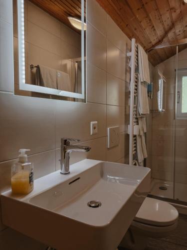 a bathroom with a sink and a toilet and a mirror at Le Refuge Hotel Restaurant in Ayer