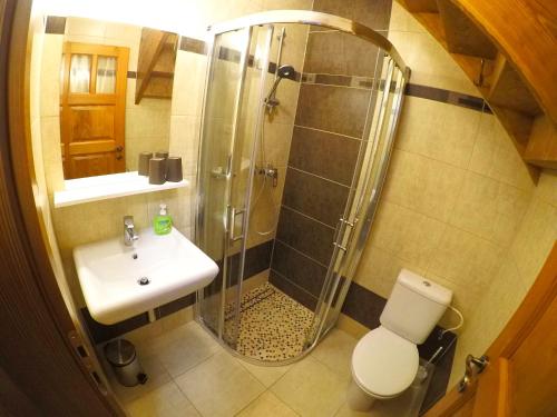 a bathroom with a shower and a sink and a toilet at Vila Pod Bránou in Poprad