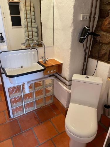 a bathroom with a toilet and a sink at Farmer Annekset Ravning in Bredsten