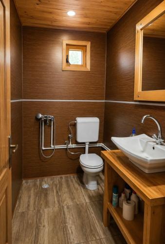 a bathroom with a toilet and a sink at Scardus Lodge in Tetovo