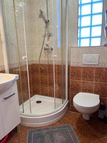 a bathroom with a shower and a toilet at Wajolet-pokoje z łazienkami in Władysławowo