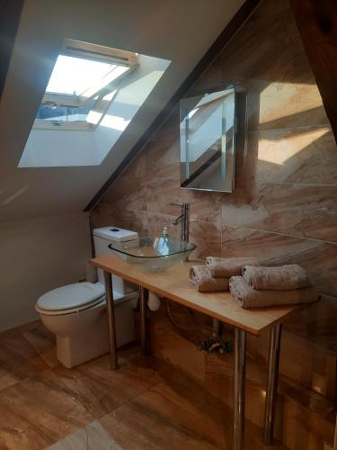 a bathroom with a sink and a toilet at Loft przy Starym Mieście in Jarosław