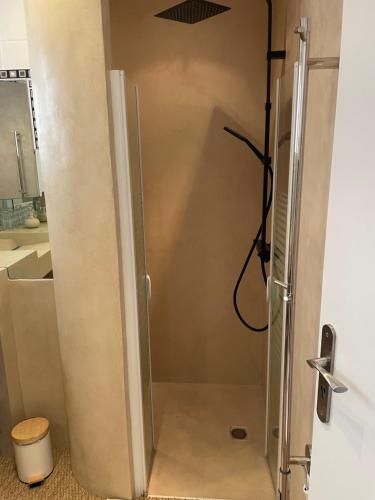a shower in a bathroom next to a sink at Le petit chalet in Luc-en-Diois