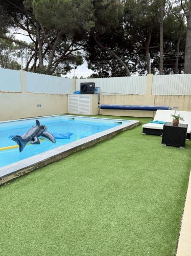 a dolphin jumping out of a swimming pool at Cozy House in Charneca