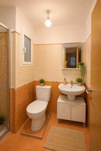 a bathroom with a toilet and a sink at Apt Puerto Burriana in Burriana