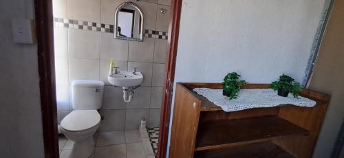a small bathroom with a toilet and a sink at Kuils River Apartment, near Cape Town Airport in Sarepta