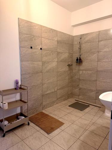 a bathroom with a shower with a toilet and a sink at Apartments Chloe - Top 4 in Hollabrunn